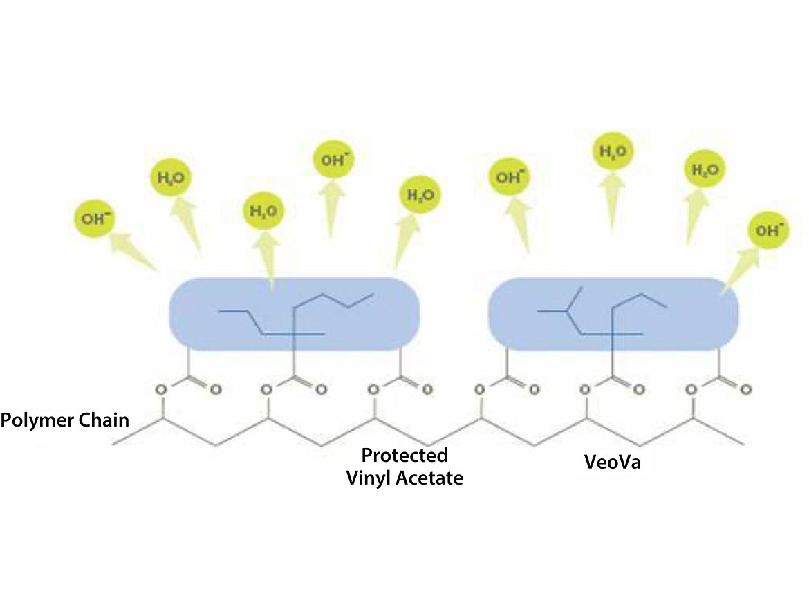 Protection of the acetate groups by adjacent VV10 groups.