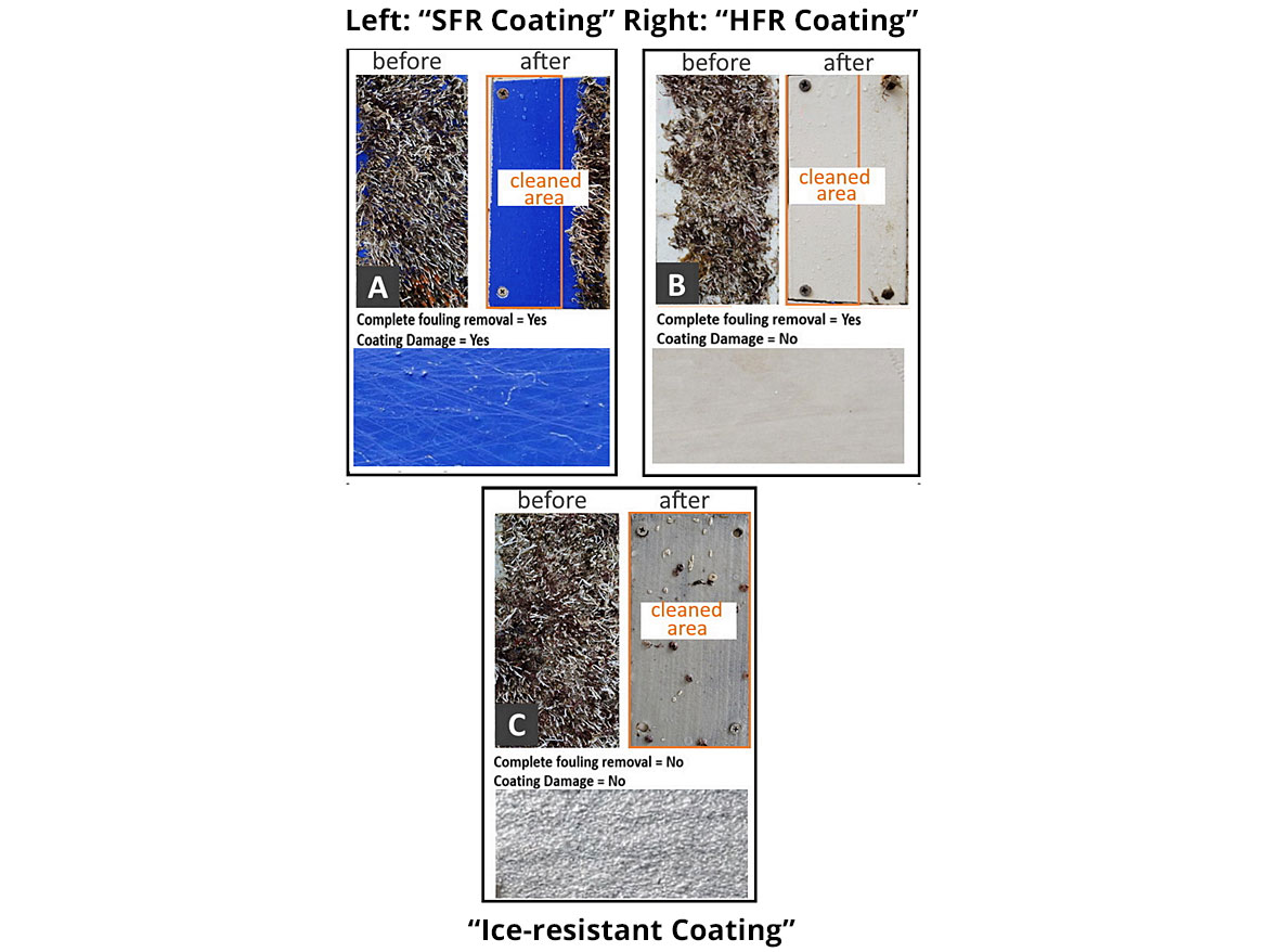 Visual comparison of the three tested systems at various stages of the biofouling and grooming study