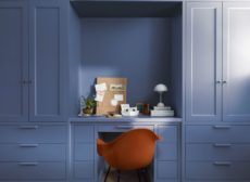 image of Benjamin Moore's Color of the Year 2024