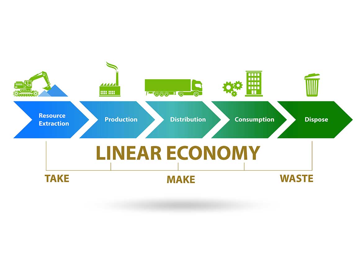 Linear economy model.