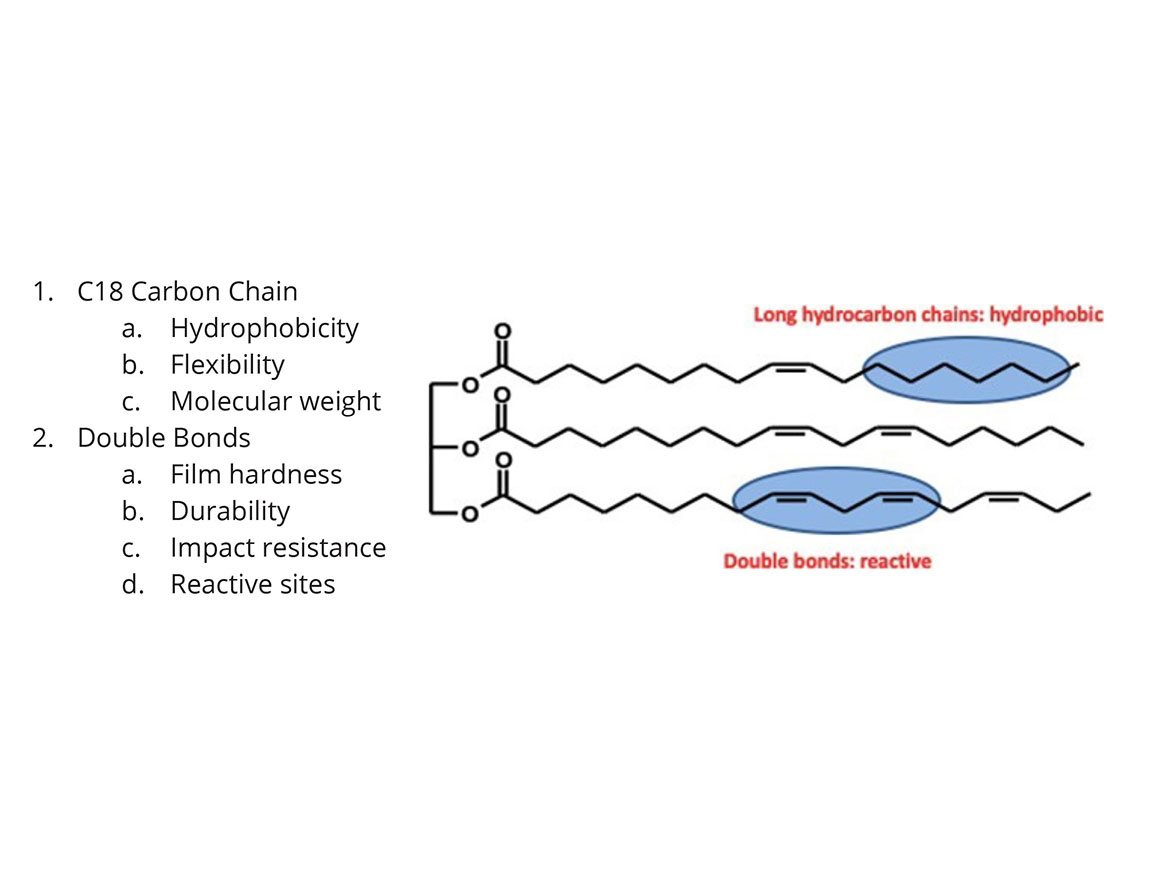 Fundamental attributes contributing to the performance of soy-based coatings.