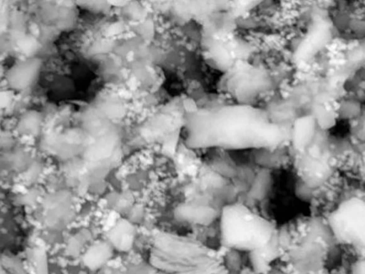 EDAX image of the matt paint showing large extender particles and small white dots of TiO₂.