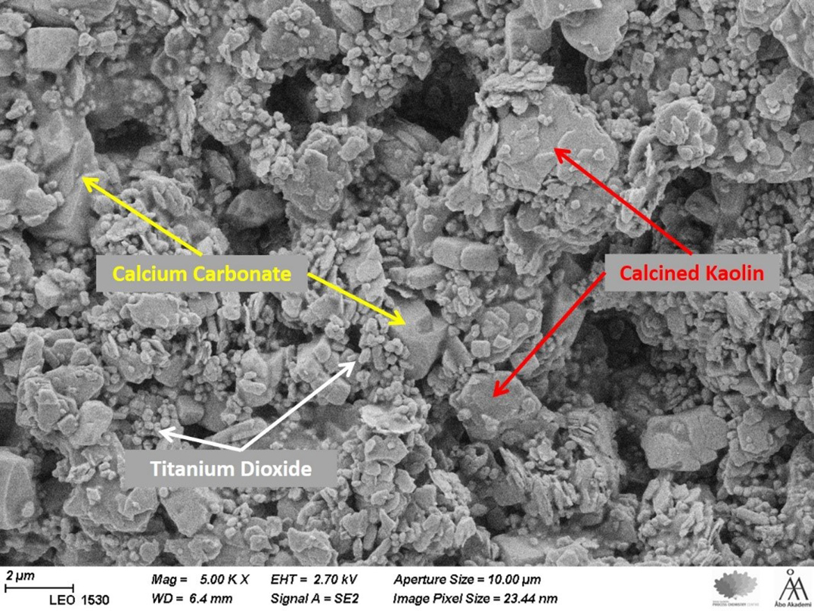 SEM of high-quality matt paint.