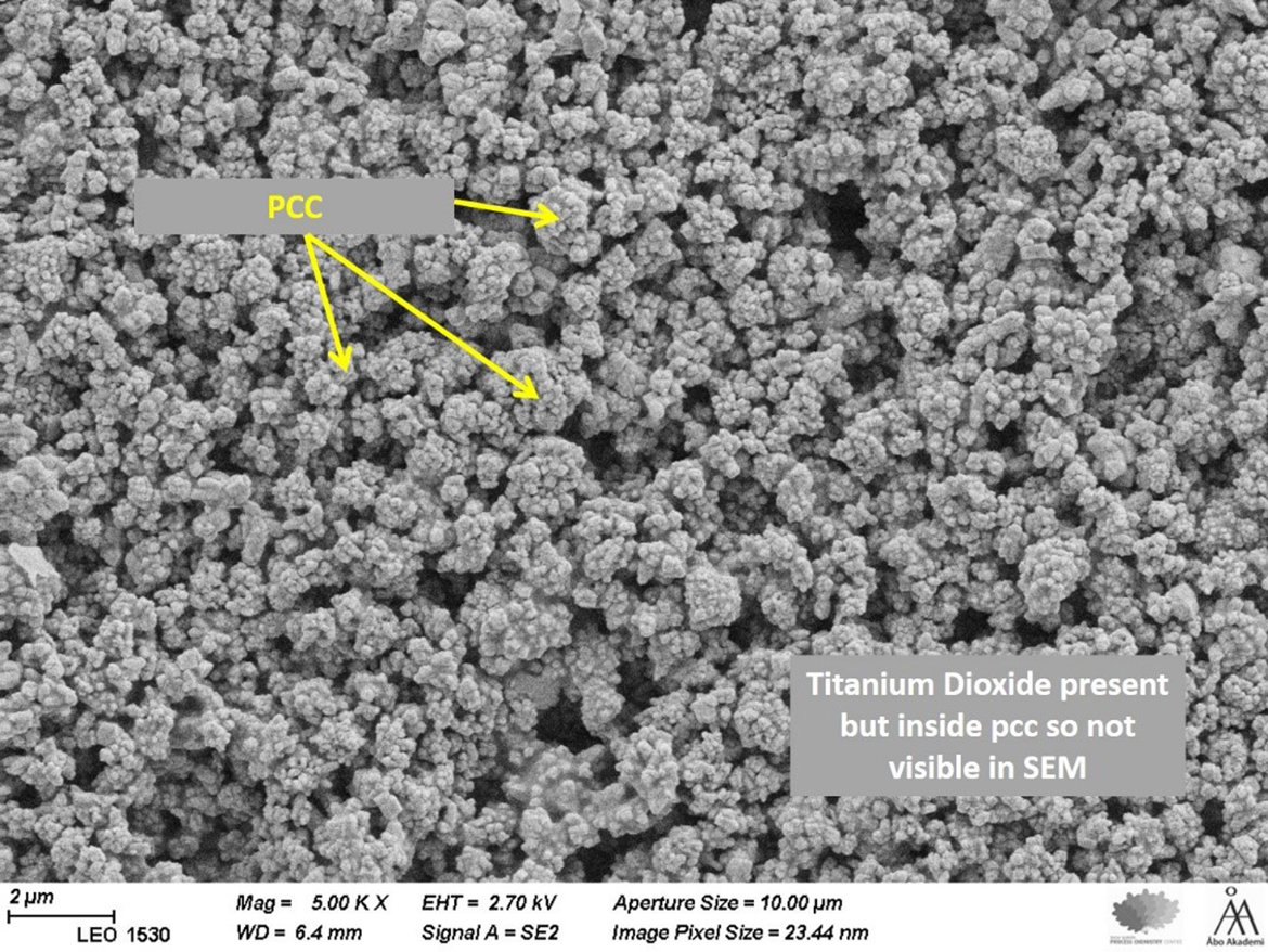 SEM of test paint with all TiO₂ and extender replaced by TiO₂/PCC composite.