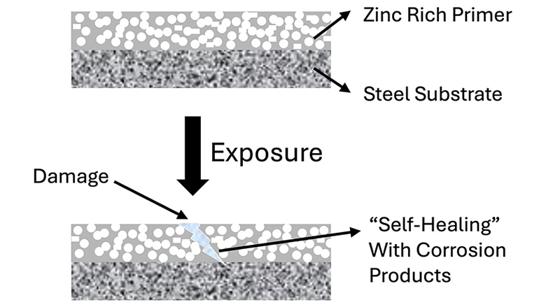 Schematic representation of corrosion mechanism of a typical zinc-rich primer coating.