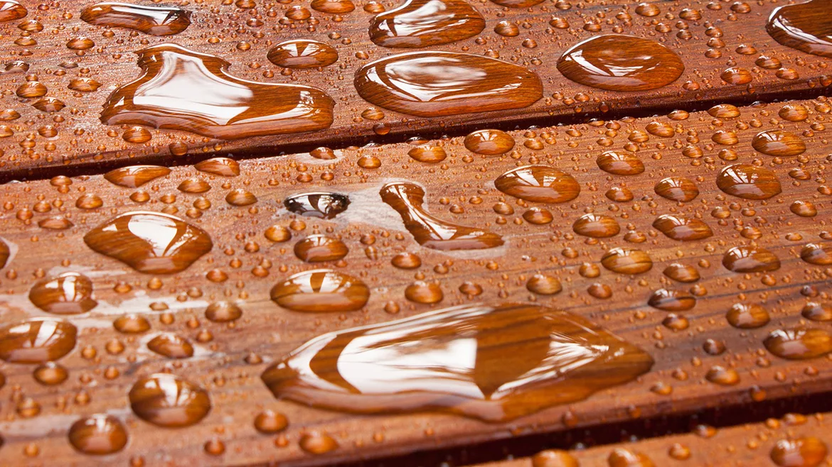 GI-184211298-1170x658.jpg A close up on a recently sealed cottage deck just after the summer rain.