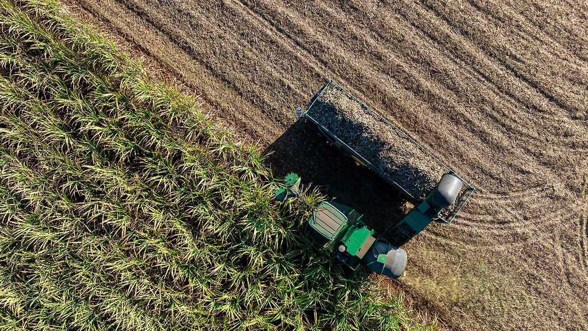 aerial top view of harvesting truck and field