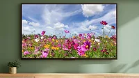 Flat screen television hanging on a wall in a living room with nature image on screen
