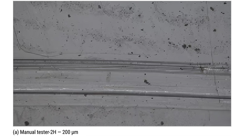 Microscopic observation results.