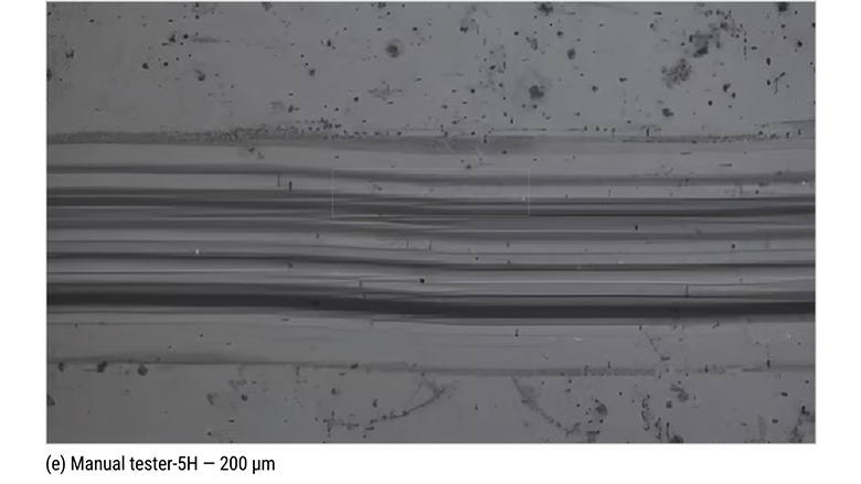 Microscopic observation results.