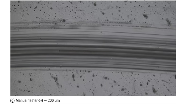 Microscopic observation results.