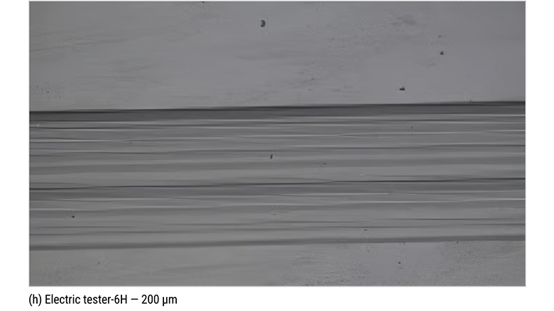 Microscopic observation results.