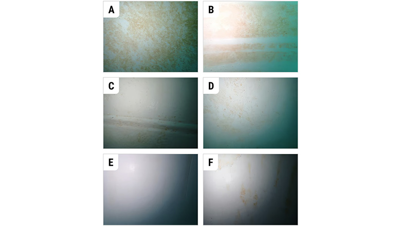 Reference biofouling images illustrating the range and extent of biofouling observed