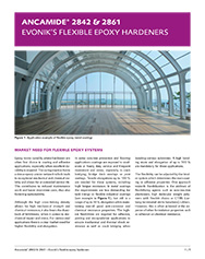 evonik whitepaper cover
