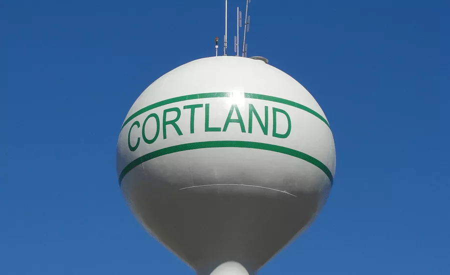 Series 118 Uni-Bond Mastic 