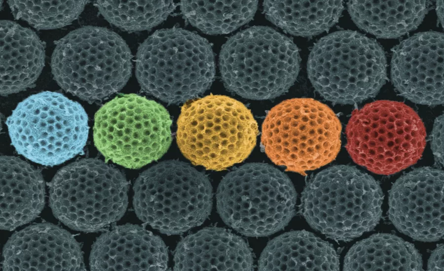 paint and coatings research and development