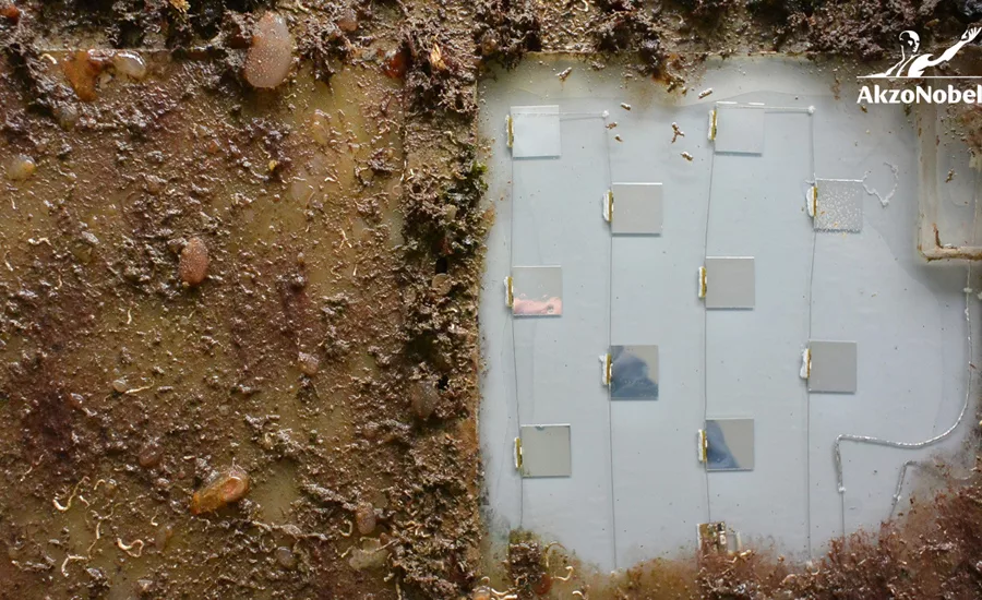 marine coatings, anti-fouling technology