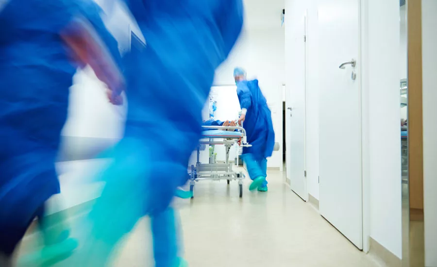 antimicrobial coatings, powder coatings