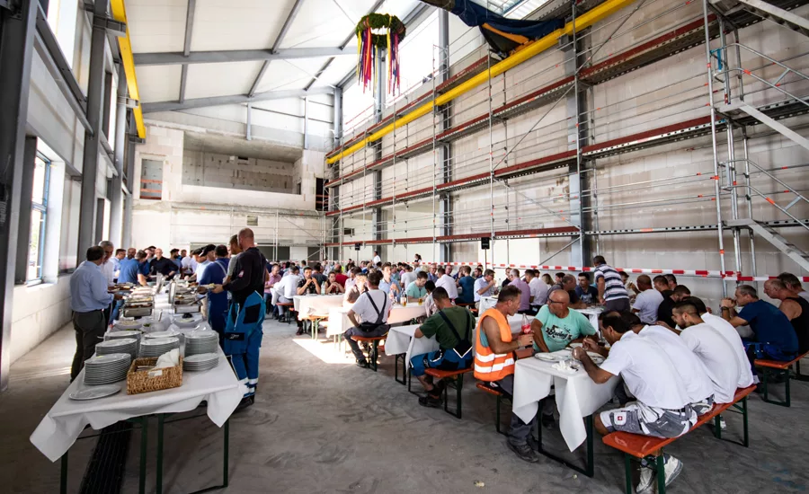 effect pigments for coatings