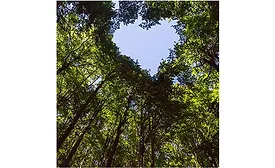 Elementis and NXTLEVVEL Biochem 