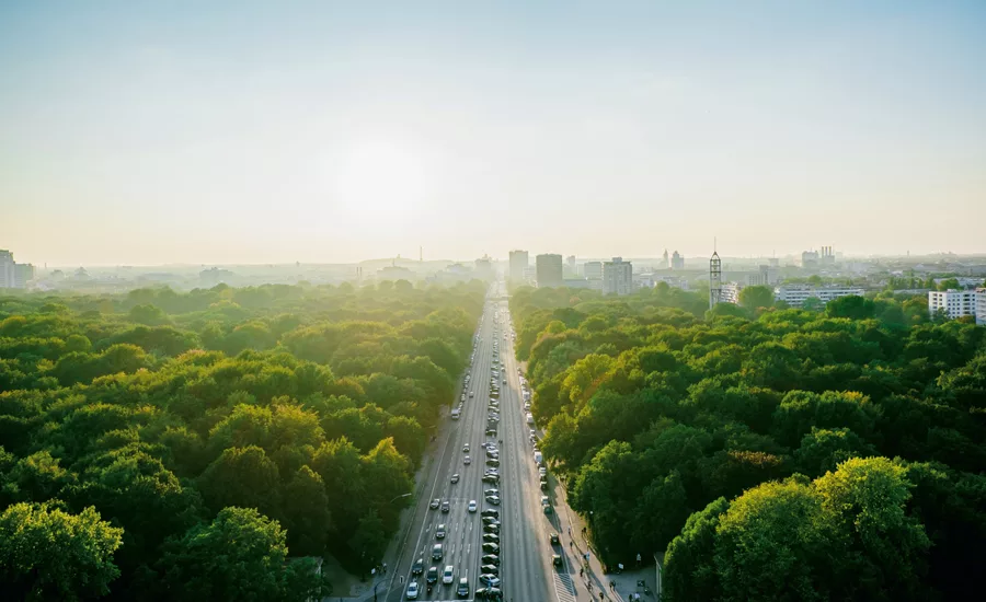 sustainable business practices