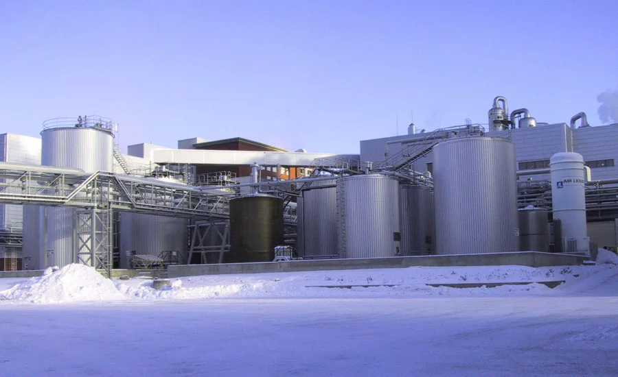 specialty chemical providers