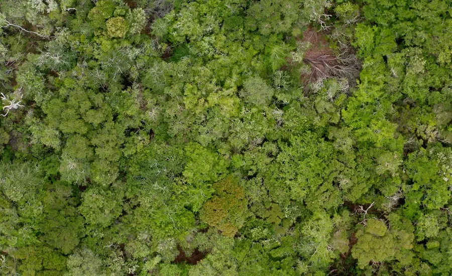 Nouryon and United Nations Global Compact