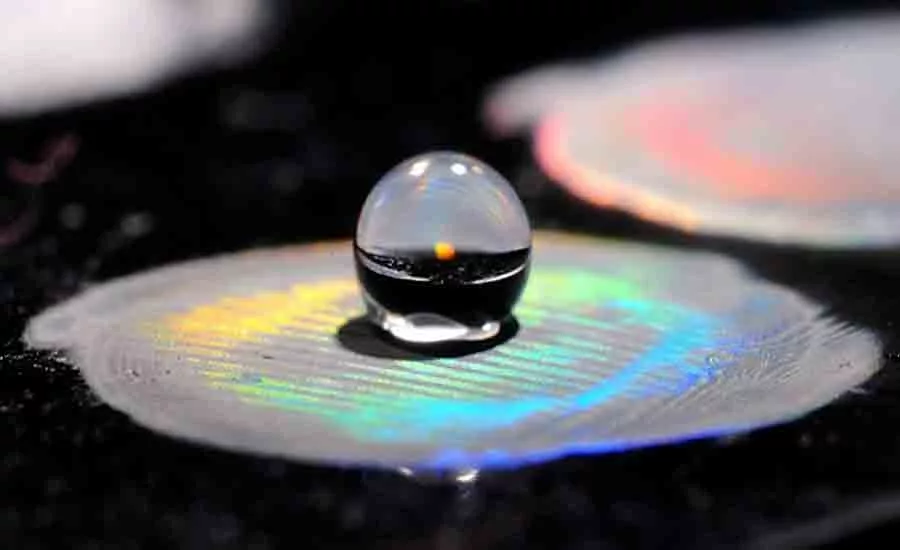 University of Pennsylvania